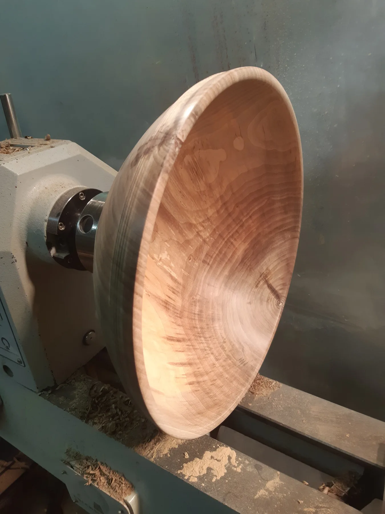 Bol en bois fini, prêt à servir — formule De l'arbre au bol
